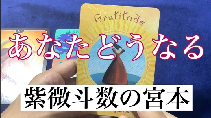 【タロット占い】あなたがどうなるか占いました！