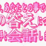 【恋愛❤️感涙🌟】正直なその答えに感動😢[対話鑑定級タロット🧚]