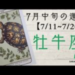 ♉牡牛座♉7月の運勢【7/11～7/20】純粋な気持ちを育む。前進するより、この瞬間の充足感を大切にする。