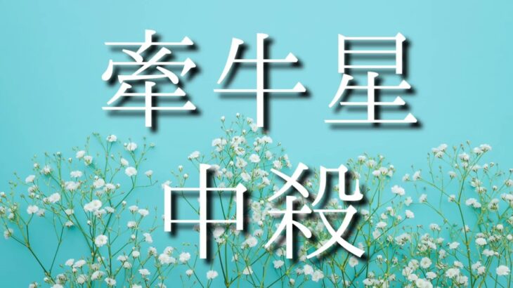 【算命学】十大主星・牽牛星中殺、内側に不満を溜め込んで、いきなり離婚を言い渡す人。跡取りになれない人。