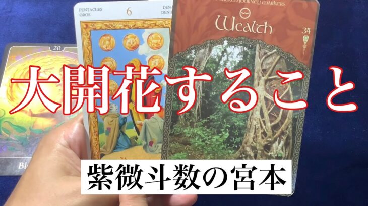 【タロット占い】あなたが大開花することを占いました！