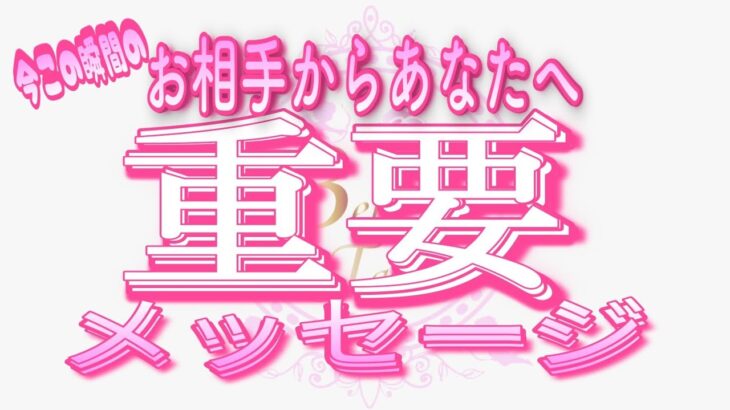 【恋愛❤️緊急🌟】今のお相手から重要メッセージです😢[個人鑑定級タロット🧚]