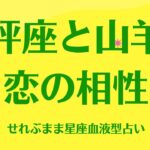 天秤座と山羊座の星座相性 せれぶまま星座血液型占い