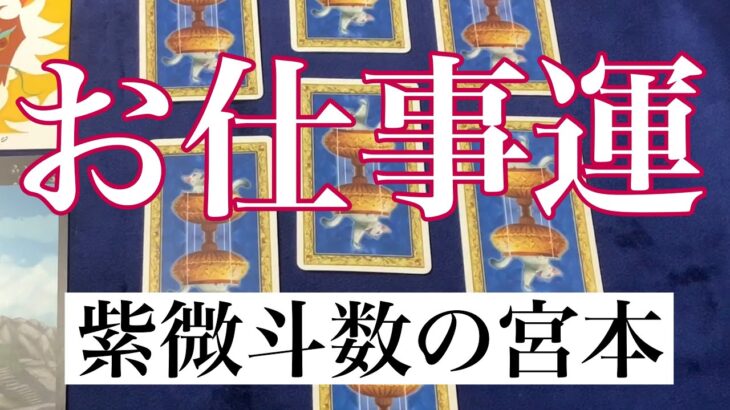 【タロット占い】あなたのお仕事運を占いました！