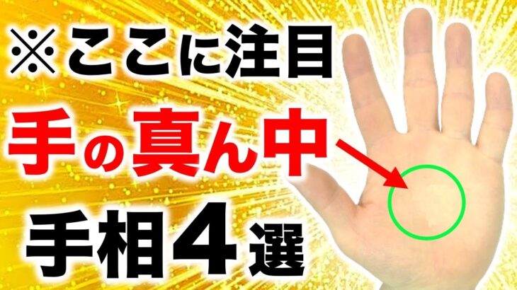 【手相】手の真ん中で人生がわかる！成人期のドラマが晩年に繋がる手相４選【火星平原】