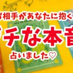 愛が深すぎる感動の選択肢もあり😢【お相手があなたに抱く🔥ガチな本音🔥占いました】ぽりあ森タロットカフェver.