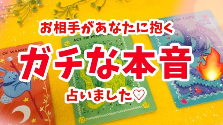 愛が深すぎる感動の選択肢もあり😢【お相手があなたに抱く🔥ガチな本音🔥占いました】ぽりあ森タロットカフェver.