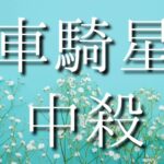 【算命学】十大主星・車騎星中殺。恋愛・結婚で変化が多い女性。理性でコントロールできない攻撃性。