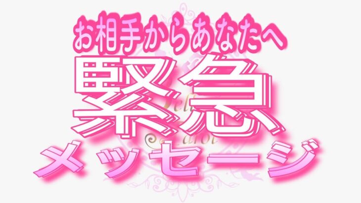 【恋愛❤️】緊急でした!!!![個人鑑定級タロット🧚]