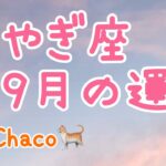 山羊座🌼2022年9月の運勢タロット占い🌼お知らせが入りまくるので受け取ってください！