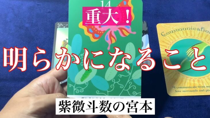 【タロット占い】もうすぐ明らかになることを占いました！