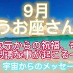 うお座さん⭐️9月⭐️“  高次元からの祝福、奇跡、不思議な事が起こる〜”⭐️ 宇宙からのメッセージ⭐️シリアン・スターシード・タロット⭐️アルクトゥリアン・プレイディアン・ハイブリッド⭐️