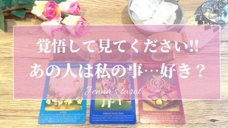 ハッキリお伝えします😣‼️辛口あり😭🙏【恋愛💕】ぶっちゃけあの人はあなたの事どう思ってる？好き？それとも…【タロット🌟オラクルカード】片思い・復縁・複雑恋愛・音信不通・疎遠・あの人の気持ち