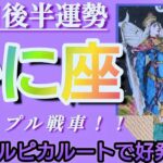 【蟹座♋8月後半運勢】トリプル戦車でフリーダム！ツルピカルートでスンナリ好発進！！　✡️4択で💌付き✡️　❨タロット占い❩