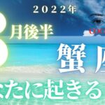 蟹座♋️ 【８月あなたに起きること】ココママの個人鑑定級タロット占い🔮高次元メッセージ