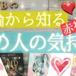 結果から知る💕あの人の気持ち【タロット占い 恋愛】あなたのことどう思ってるのか🌱お相手の赤裸々な気持ち