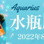 【みずがめ座】2022年8月運勢♒️収穫、これまでの実り、見えて来る、思い切り自分を肯定するタイミング