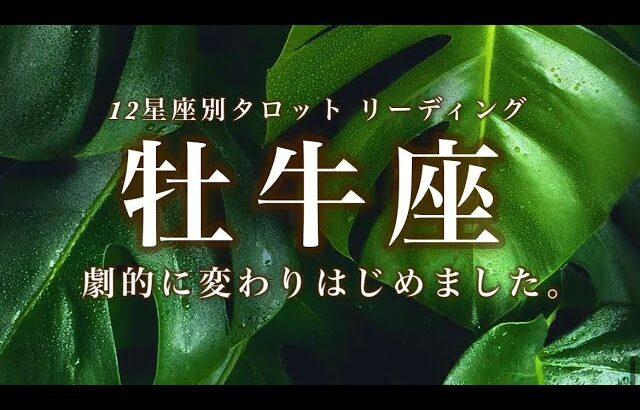 8/15~9/15♉️牡牛座🌟暗闇に希望の光。次のステージへ扉が開きました。ゆるがないよろこびと豊かさのはじまり。🌟しあわせになる力を引きだすタロットセラピー