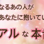 切ない想いがありました🥺⚡️🗝驚きの展開も👀気になるあの人が今あなたに抱いているリアルな本音💗片思い 両思い 複雑恋愛 あの人の気持ち タロット＆オラクルカードリーディング