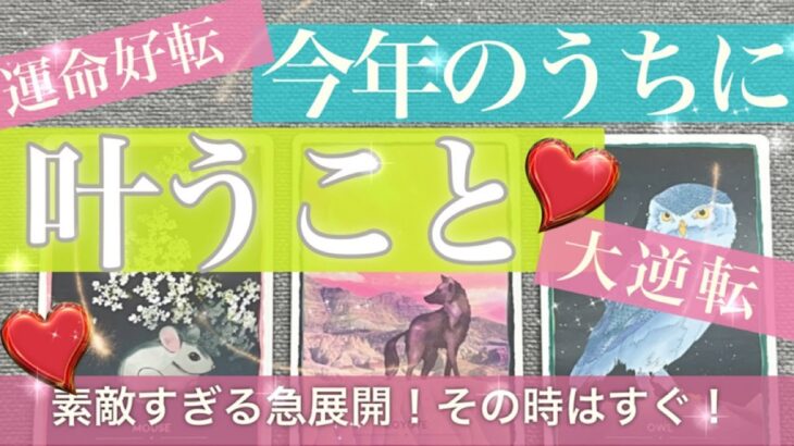 今年のうちに叶うこと【タロット占い】人生、恋愛、お仕事　大転換？！あなたに起きるすごいこと！これからどうなる？