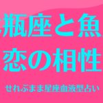 水瓶座と魚座の星座相性 せれぶまま星座血液型占い