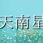 【算命学】十二大従星・天南星