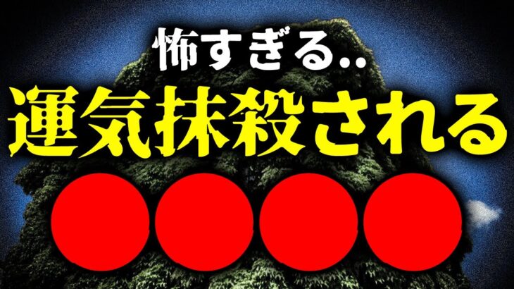 置くだけで運気即死する　ダメ観葉植物　京都の風水師　天野ちえりでございます