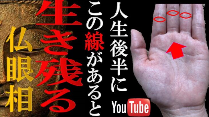 【手相】⚠️これ見逃すと残念！晩年に生き残れる人が持っている仏眼相トップ３