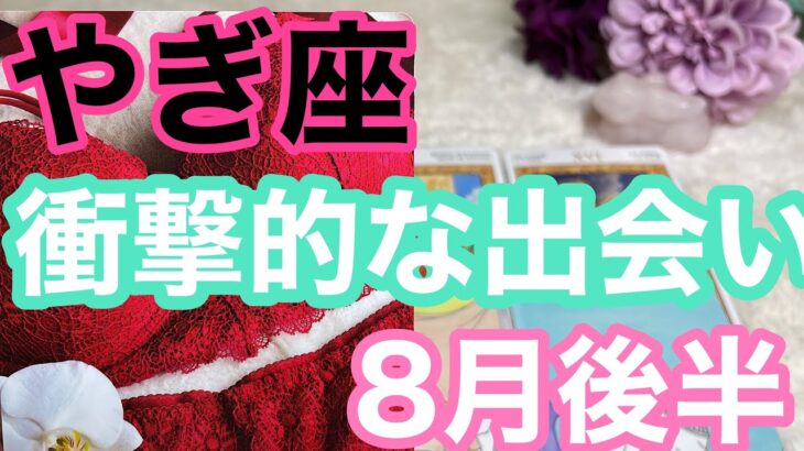 【8月後半の運勢】やぎ座　衝撃的な出会いの予感💕超細密✨怖いほど当たるかも知れない😇#星座別#タロット占い#山羊座