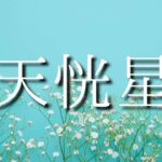 【算命学】十二大従星・天恍星