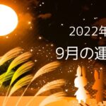 2022年9月の運勢【タロット、オラクル、ルノルマン、数秘術占い🔮】