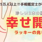 《有料級解説》珍しい2本の線！幸せ・開運の兆しを意味する手相！？【手相鑑定】～質問返し～