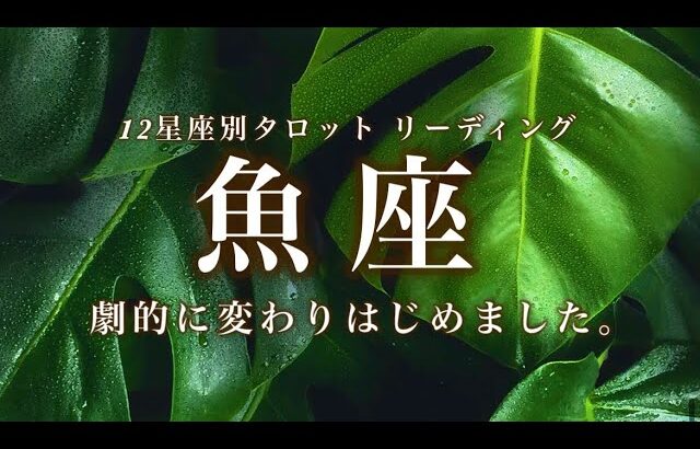 8/15~9/15♓️魚座🌟新展開は突然に。まさかのあの人があなたの元へやってきます。希望で胸がふくらむ、真実にたどり着く。🌟しあわせになる力を引きだすタロットセラピー
