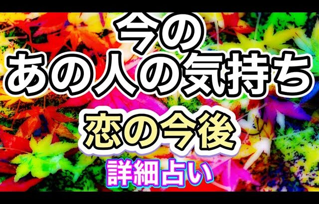 今のあの人の気持ち💖恋の今後🌈半年の流れ🌈✨✨✨