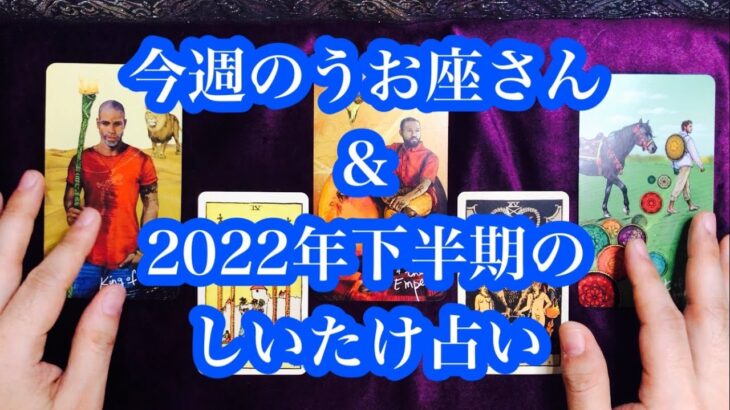 調子が良い2022年の下半期！誘惑には注意を！今週のうお座さん & 今週のしいたけ占い、2022年の下半期しいたけ占い。Good condition second half of 2022!