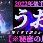 【魚座♓2022年後半運勢】凄！地球上のありとあらゆる豊かさを得る証明書が発行されます！　✡️秘密の展開✡️　　❨オラクル、タロット占い❩