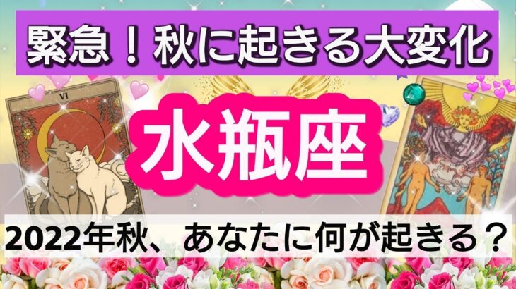 水瓶座【緊急！秋に起きる大変化】運命の出会い！復活と新しいステージへ！！