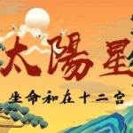 紫微斗数【太阳星】坐命和在十二宫位通论论断！（上）字幕版