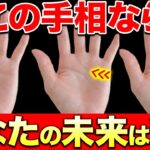 【手相】運気安泰　この線がある人　未来が輝かしい