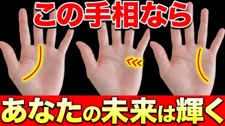 【手相】運気安泰　この線がある人　未来が輝かしい