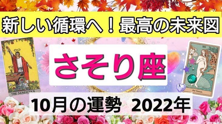 蠍座【2022年10月の運勢】新しい循環へ！最高の未来図💕解放されるとき👑星とカードで徹底リーディング🌸