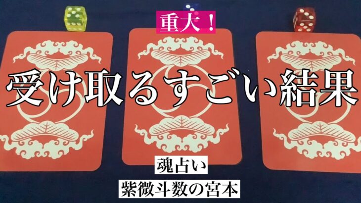 【魂占い】これから受け取るすごい結果を占いました！