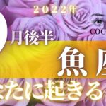 魚座♓️ 【９月後半あなたに起きること】2022　ココママの個人鑑定級タロット占い🔮