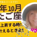 ふたご座さん 10月 この動画を観た方に起こる奇跡#当たる占い#タロット#星占いNOCCIもんたさん#スピリチュアル#夢叶う#ツインレイ #引き寄せ