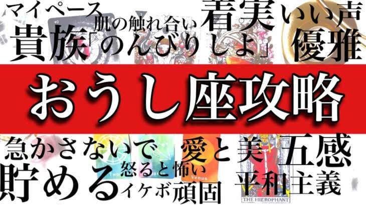 【マイペース貴族】おうし座攻略♉️ 基本性格・恋愛傾向・仕事・適職・金銭面を解説！