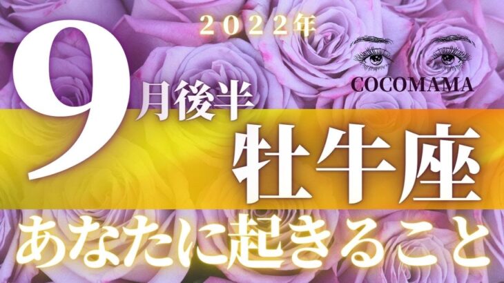 牡牛座♉️ 【９月後半あなたに起きること】2022　ココママの個人鑑定級タロット占い🔮