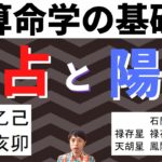 【算命学占い】陰占と陽占の違いを紹介！この二つで何がわかる？