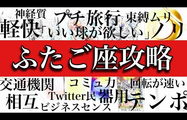 【テンポ重視交渉人】ふたご座攻略♊️基本性格・恋愛傾向・仕事・適職・金銭面を解説！