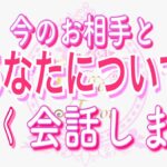 【恋愛❤️驚愕】今のあなたについてお相手と会話します😳[対話鑑定級タロット🧚]