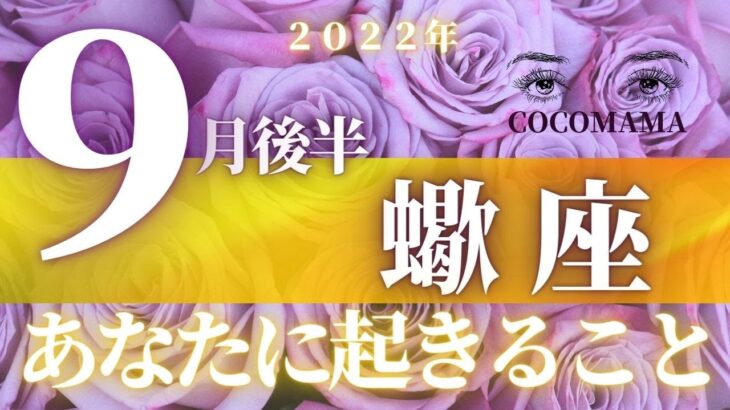 蠍座♏️ 【９月後半あなたに起きること】2022　ココママの個人鑑定級タロット占い🔮